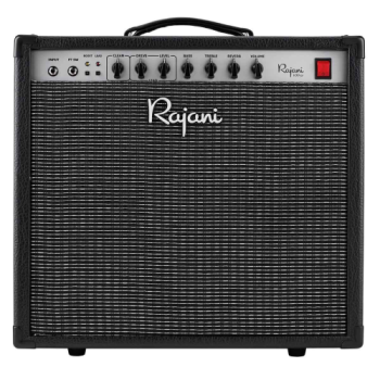 Fender '65 Princeton Reverb Guitar Amp